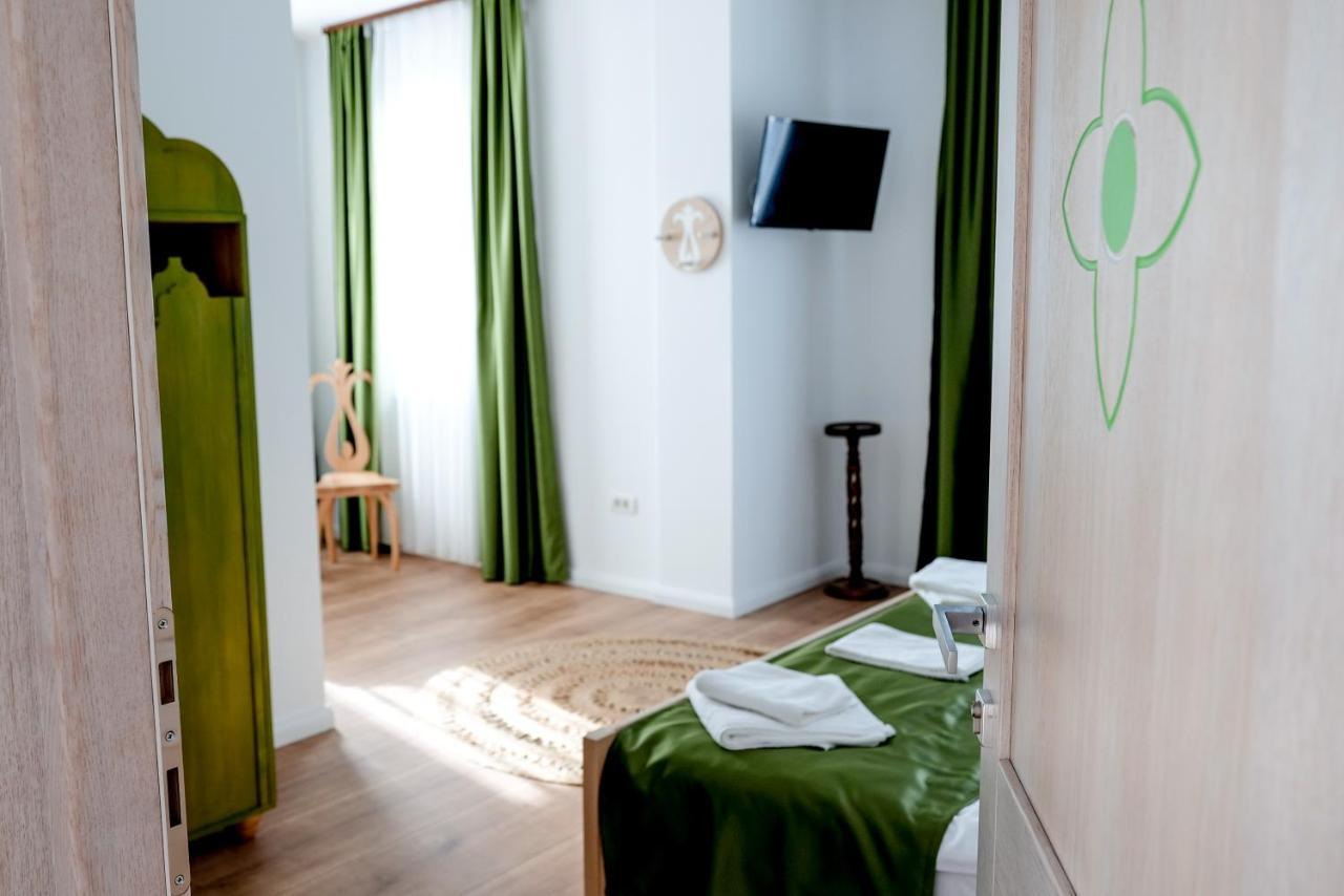 Conacul Olarilor Bed & Breakfast Baia de Fier Exterior photo