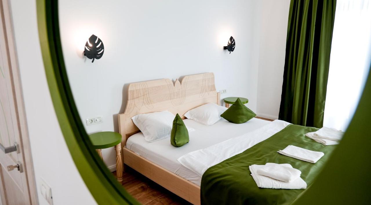 Conacul Olarilor Bed & Breakfast Baia de Fier Exterior photo
